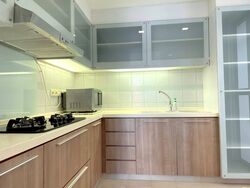 The Merasaga (D10), Condominium #439796651